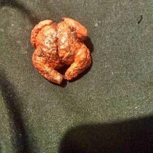 1 Smoked Miniature Toy Turkey